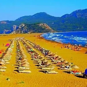 Hotel Club Chicago 3*